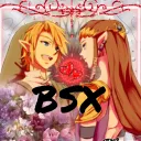 Team bsx