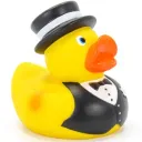 The Duck Domain