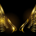Discovery icon for !Wings CS:GO Trading Discord server