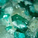 🌱 chaos cavern 🌱