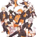 Karasuno/haikyuu