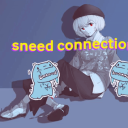 The Sneed Connection server icon