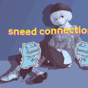 The Sneed Connection server icon