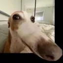 ok