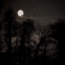 BlackSky