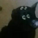 β§ ππΎπ»π»π»π°πͺπ½πΈπ»π β§