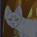 wildcats