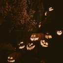 ﹒ 🎃 ﹕ efflorescence