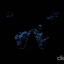 Walpurga Gaming's icon