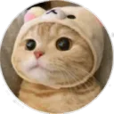 Yoshi server