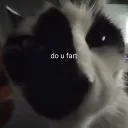 StinkyCord