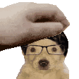BENJAZ ARMY