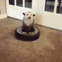 Fireteam: Roomba Discord Server Icon