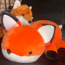 The Fox Den