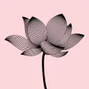 Mistyrose Design
