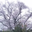 地震観測関連集会