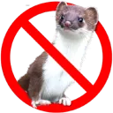 Weasel Free