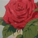 Rose's Garden
