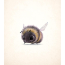 Bees