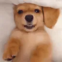 Bubbly
