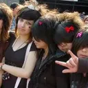 emos2008