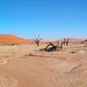 The Wastelands