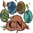 Critter Nation