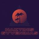 Naktinis Gyvenimas   Discord Server Icon