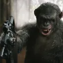 Rational Primates