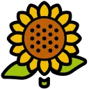Tournesol