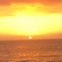 The Sun Organization