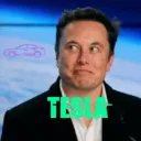 Tesla Shareholders