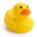 Duck Nation