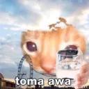 toma awa