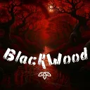 BlackWood Village [S2] Banner