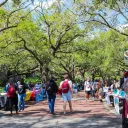 Market Wednesday