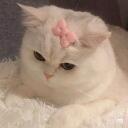 Angelic Mansion Discord Server Icon