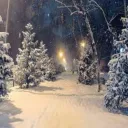 Our Community's icon