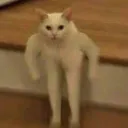 SeñorChurro