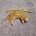Cat Next Door