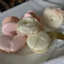 Bikki's  Bakery