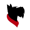 General CMU Discord