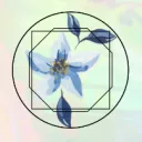 DYSKCORD