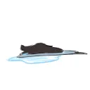 Bagel’s vibing server