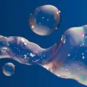 the bubble