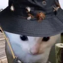 THE breadstore