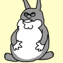 Doocord