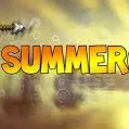 SummerCraft Network