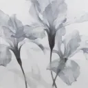 𓆩⟡𓆪
