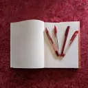 Red Pen Resort